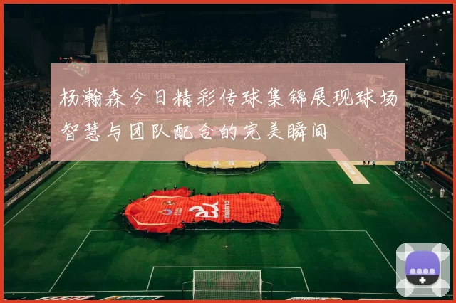 杨瀚森今日精彩传球集锦展现球场智慧与团队配合的完美瞬间